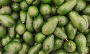 aguacates