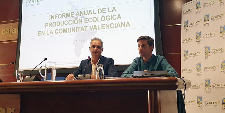 sector ecológico