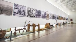 ‘40 años de agricultura’