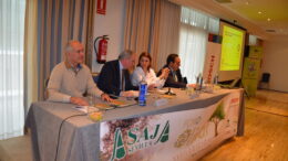 Las exportaciones de aceite de oliva 2018/2019