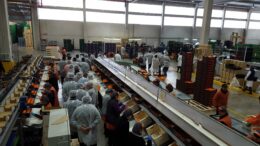 Los deberes del sector citrícola