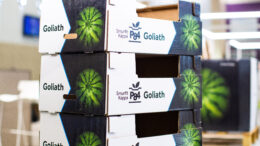 Smurfit Kappa sandía