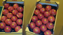 La Manzana Evelina®