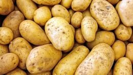 importación española de frutas y hortalizas