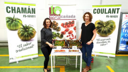 tomates Colulant y Chamán