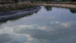 Federación de Comunidades de Regantes de Castilla-La Mancha