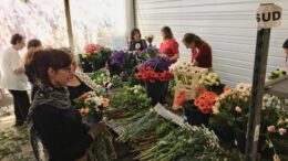 Anecoop adquiere FlorenSud