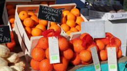 Producción Ecológica