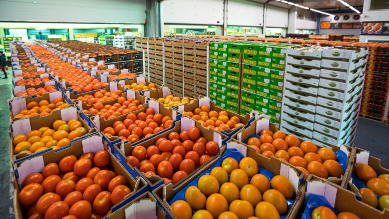 Mercabarna despilfarro alimentario