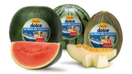 Peris te lleva de crucero