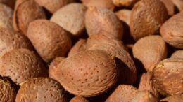 mercado de la almendra