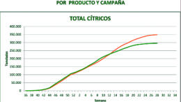 Campaña cítricola