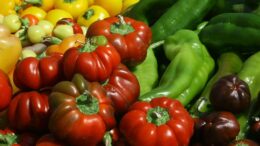 exportaciones agroalimentarias Andalucía