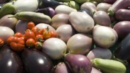 ayudas para productores hortofrutícolas