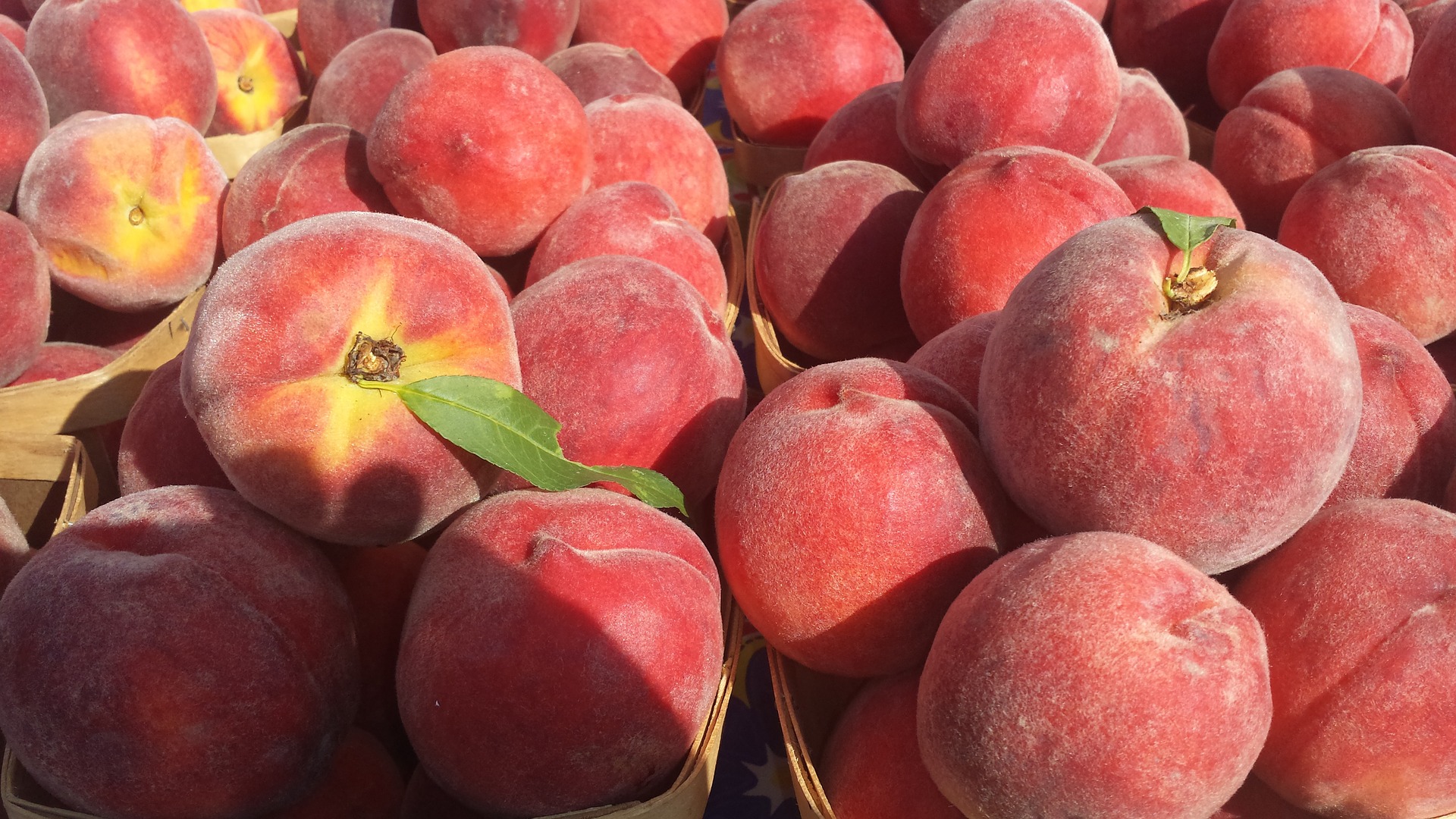 retiradas fruta de hueso