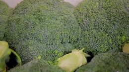 brócoli