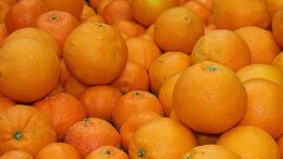 sector de frutas y hortalizas