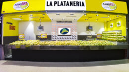 Plátano de Canarias en Mercabarna