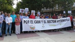 uva para vino y cava
