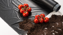 plástico biodegradable