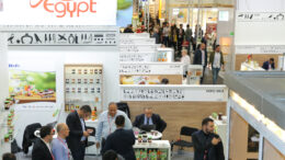 Egipto en Anuga 2019