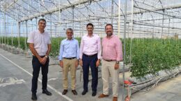 cultivos con iluminación artificial