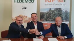 Fedemco y la IGP “Cítricos Valencianos”