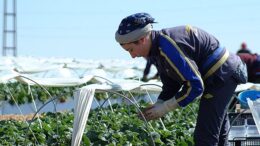 Día Internacional de la Mujer Rural
