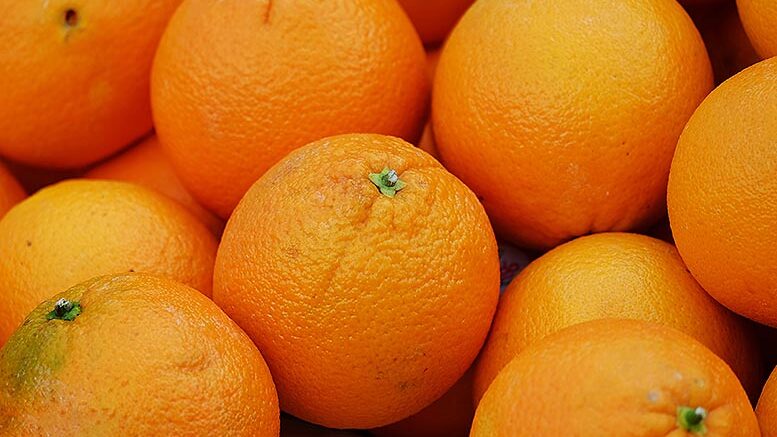 pesticidas prohíbidos