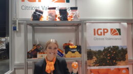 Cítricos Valencianos en Gastrónoma