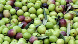 promoción alimentos UE