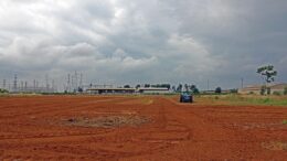 relevo generacional del campo