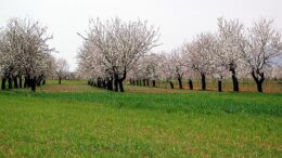 proyectos agroecológicos