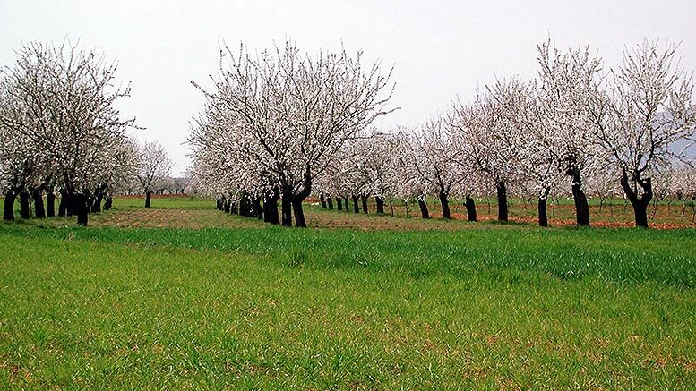 proyectos agroecológicos
