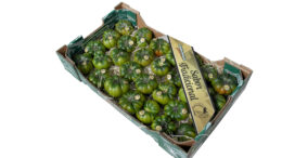 Grupo Agroponiente tomate Raf