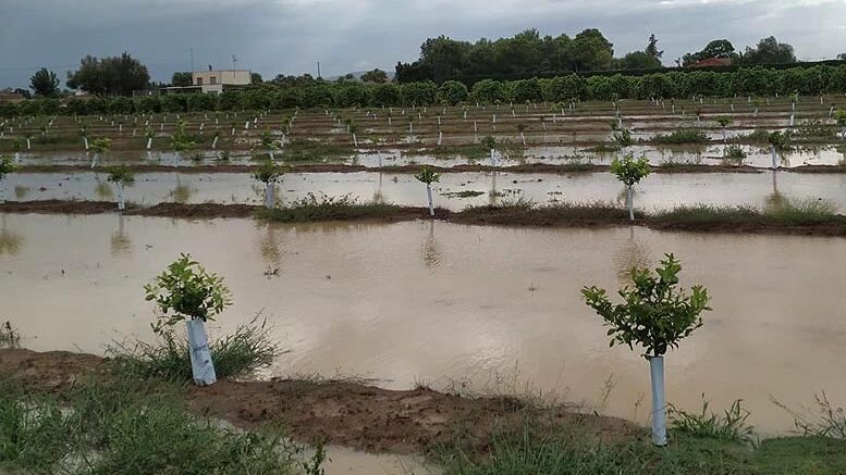 balance agrario 2019