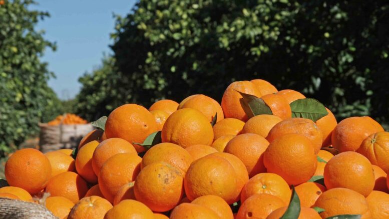 Campaña naranja en Córdoba