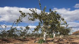 explotaciones agrarias