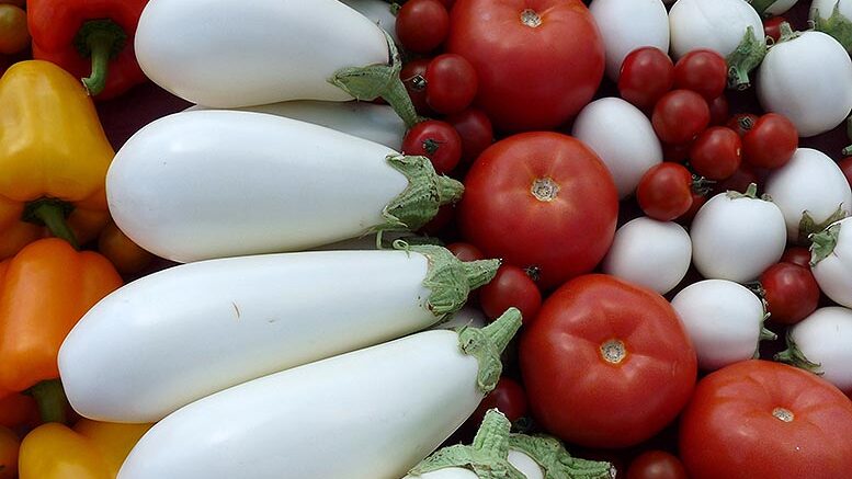 exportación alimentaria