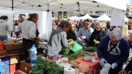 Mercado ecológico on-line