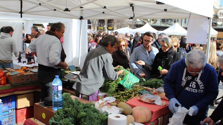 Mercado ecológico on-line