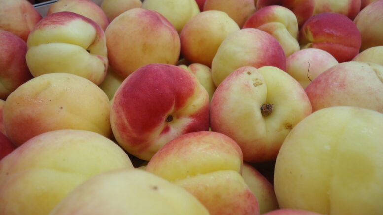 Campaña 2020 de fruta de hueso