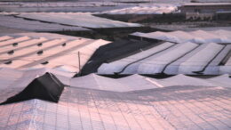 El valor de los invernaderos de Almería