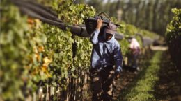 Salarios 2019 en el campo