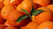frutas y hortalizas
