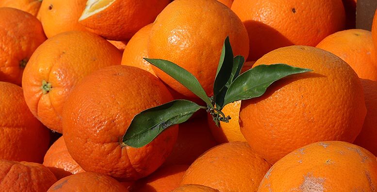 frutas y hortalizas