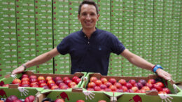 Conjuntfruit inicia su aventura en el mundo bio