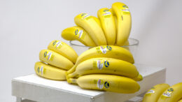 Plátanos Ruiz Apostamos a 15º