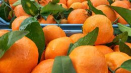 productos agroalimentarios europeos