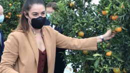 Consellera Agricultura